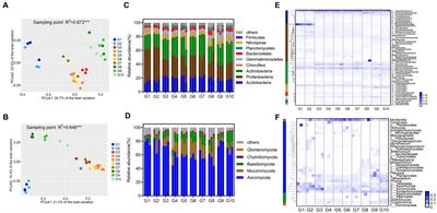 A functional metagenomics study of soil carbon and nitrogen degradation networks and limiting factors on the Tibetan plateau